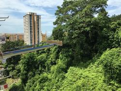 Blk 31 Telok Blangah Rise (Bukit Merah), HDB 3 Rooms #121668112